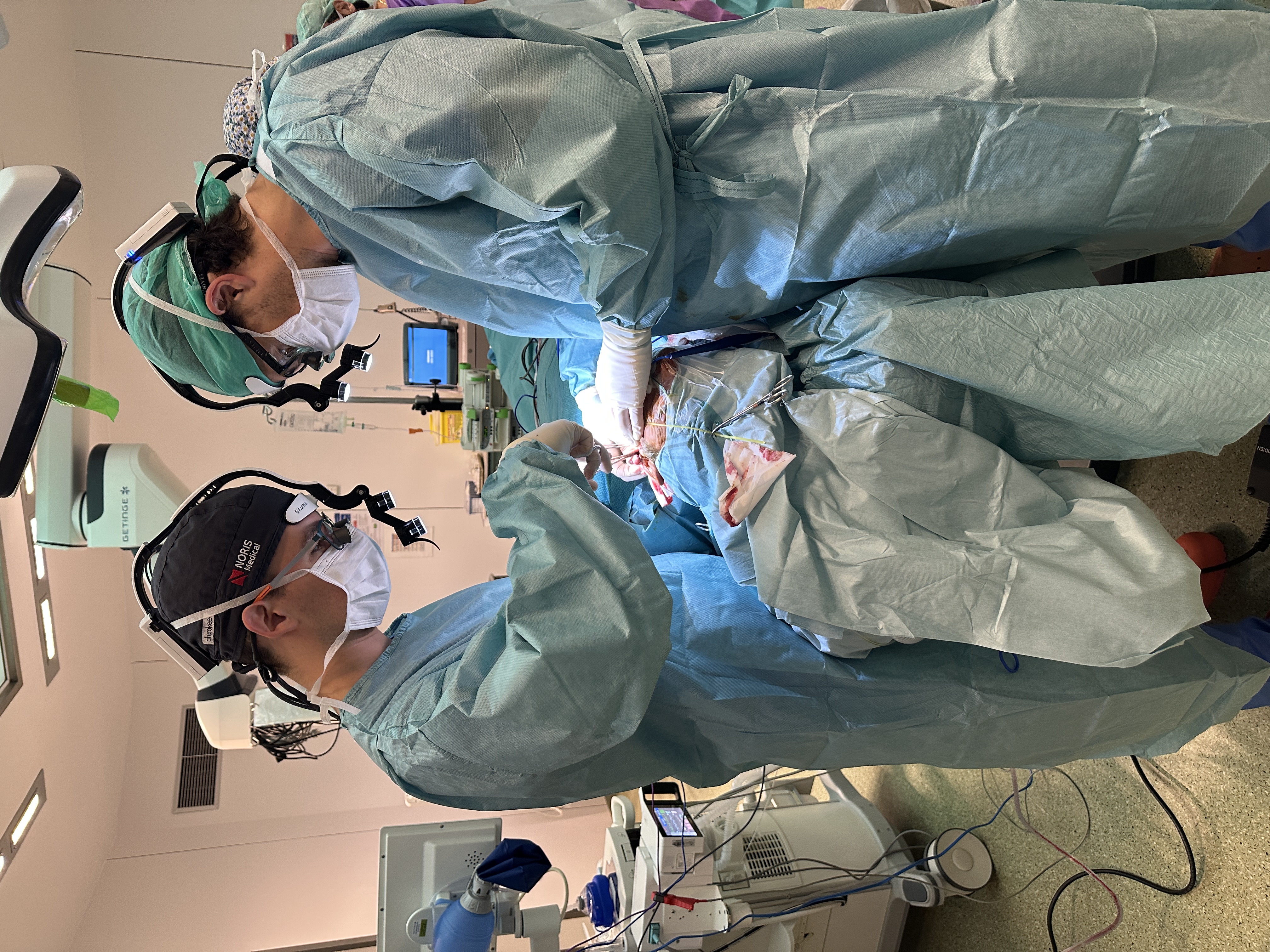 Dr. Pau Rofín in surgery